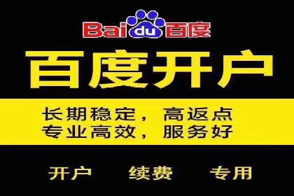 探索百度竞价排名的奥秘：成功案例分享